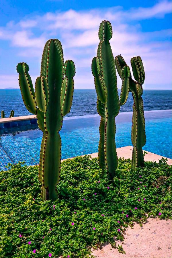 Hotel Casa Natalie à Ensenada Extérieur photo